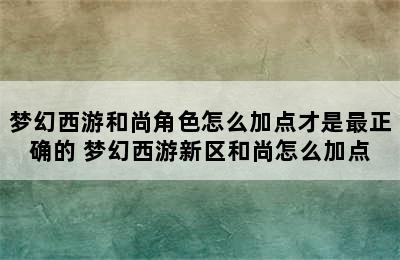 梦幻西游和尚角色怎么加点才是最正确的 梦幻西游新区和尚怎么加点